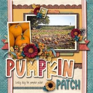 Pumpkin Patch