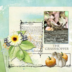 Use It All Challenge Oct22