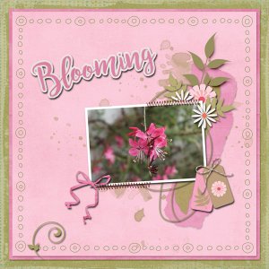 Blooming