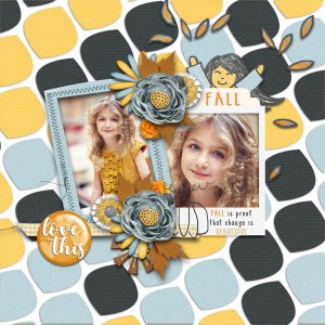 Fall Favorites
