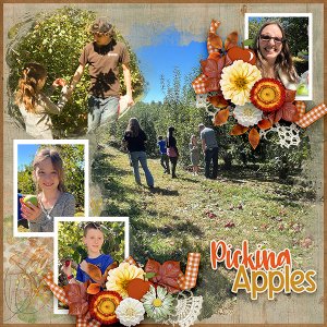 Picking Apples