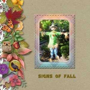 Signs of Fall