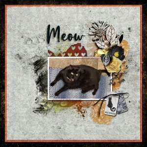 Meow