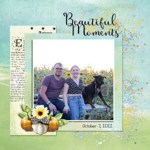 Beautiful Moments