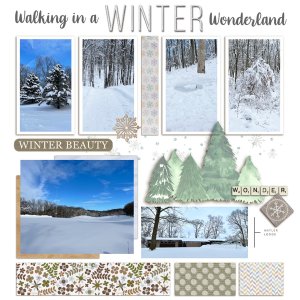 Walking in a Winter Wonderland-2