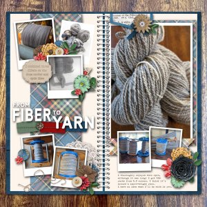 Gray handspun TdF 22