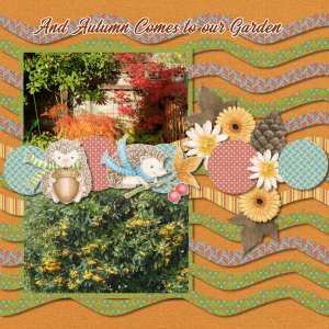 And Autumn comes to our garden