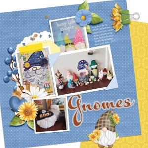 Gnomes