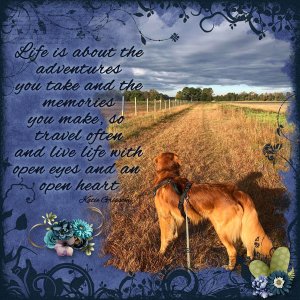 Adventures and Memories