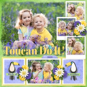 Toucan