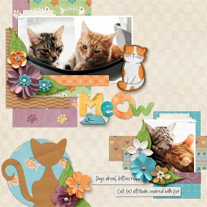 Meow