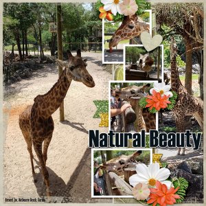 Natural Beauty