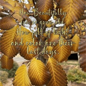Oct22 Inspiration