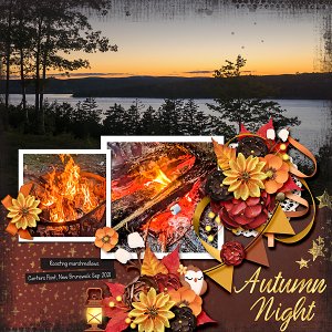 Autumn Nights