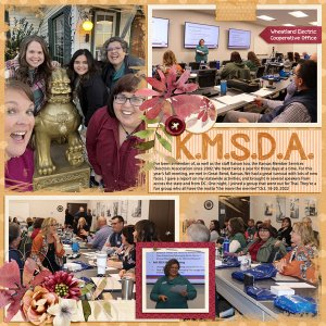 KMSDA