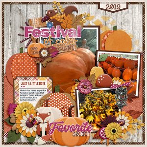 Festival of Color