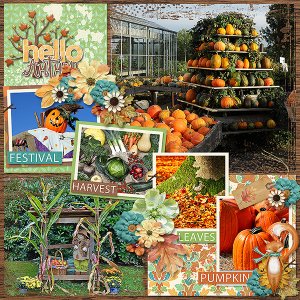 Fall Bucket List