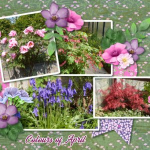 Colours of April