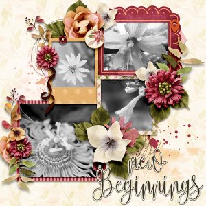 New Beginnings