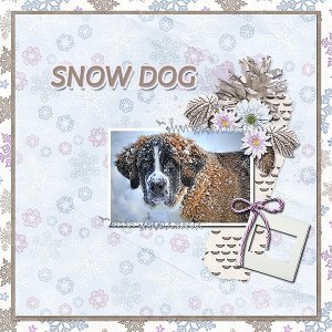 Snow Dog