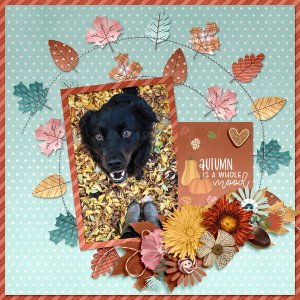 autumn
