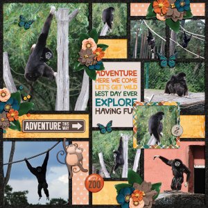 adventures at the zoo