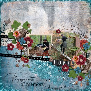 fragments of memory
