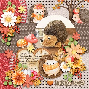 Ralphs Hedgie