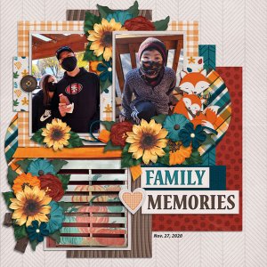 family memories