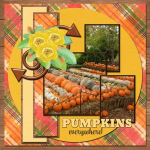 PUMPKINS everywhere!
