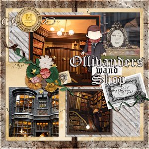 Wand Shop