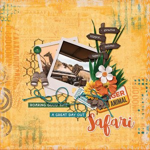 Safari