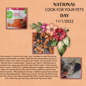 Cook For Your Pet Day