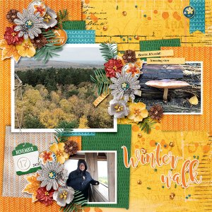 Winter walk