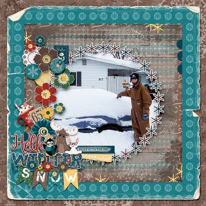 Winter Snow