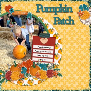 Pumpkin Patch