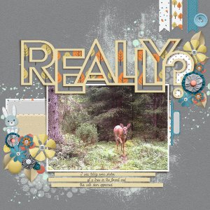 Woodland friend