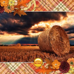 Hay Bale