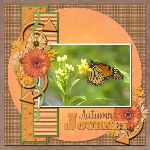 Autumn Journey
