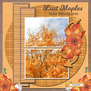Lost Maples State Natural Area