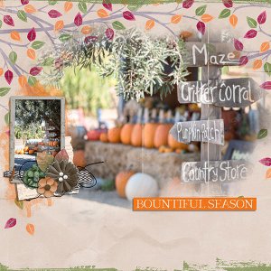 bountiful season
