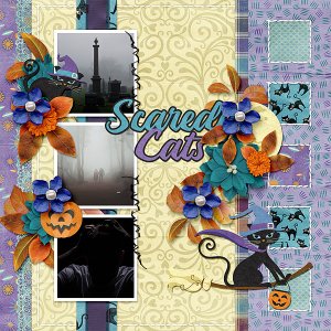 Scaredy Cats