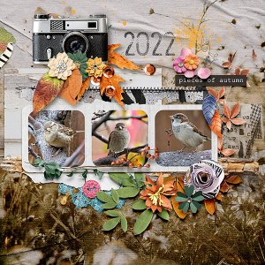 Pieces of Autumn