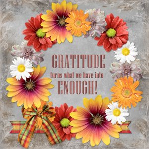 Gratitude turns what we have into ENOUGH!