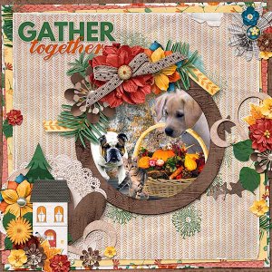 Gather Together