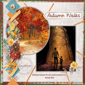 Autumn Walks