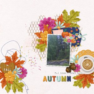 Autumn colors