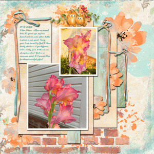 Bushel Of Blessings