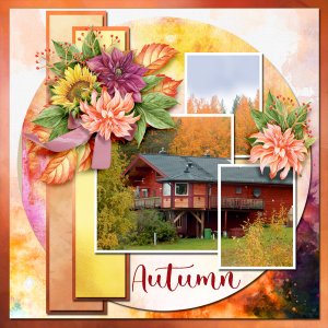 Autumn118