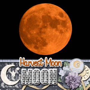 Harvest Moon